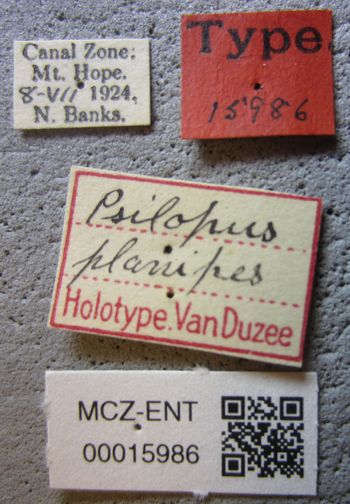 Media type: image;   Entomology 15986 Aspect: labels